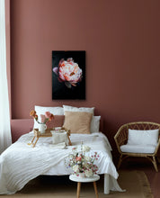 Load image into Gallery viewer, Pink Peony on Black Background - Print