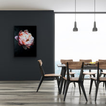 Load image into Gallery viewer, Pink Peony on Black Background - Print