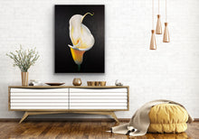 Load image into Gallery viewer, Arum Lily Original Artwork - SOLD
