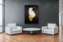 Load image into Gallery viewer, Arum Lily Original Artwork - SOLD
