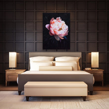 Load image into Gallery viewer, Pink Peony on Black Background - Print