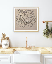 Load image into Gallery viewer, Black Lines Peony - 24&quot; x 24&quot; print
